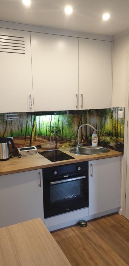 Apartament Przy Starym Miescie エルブロンク エクステリア 写真